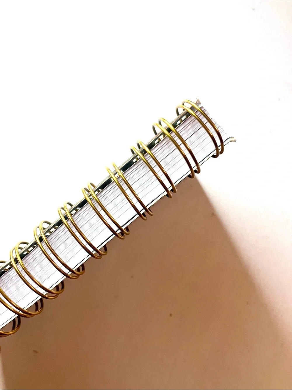 Wild at Heart Leopard Spiral Notebook - Green & Gold